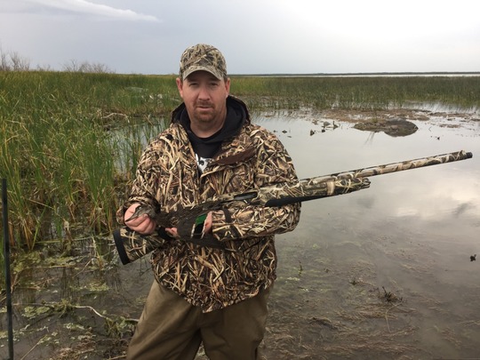Green Winged Teal Duck