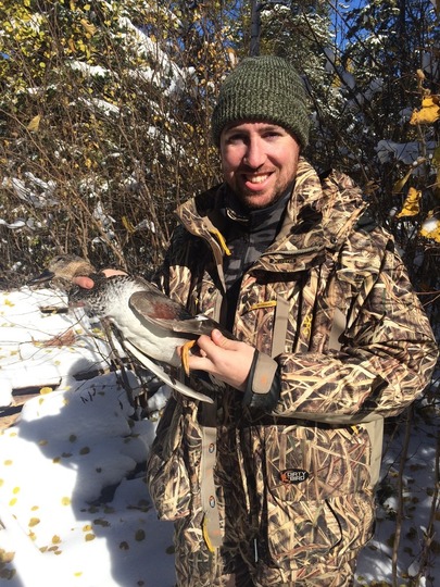 Gadwall Duck
