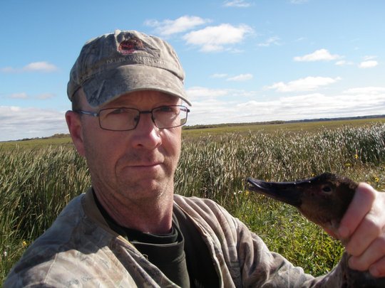 Canvasback Duck