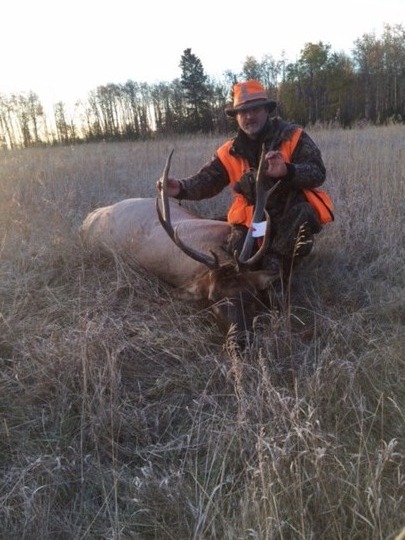 Elk