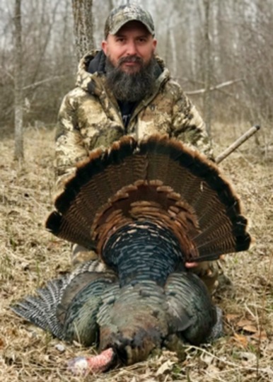 Wild Turkey