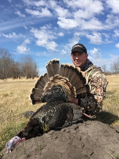 Wild Turkey