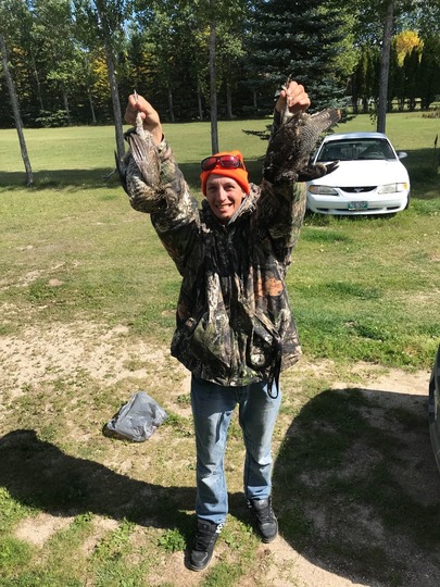 Sharptail Grouse