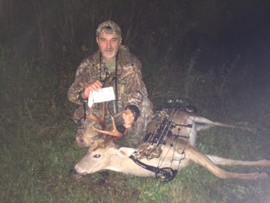 White-tailed Deer