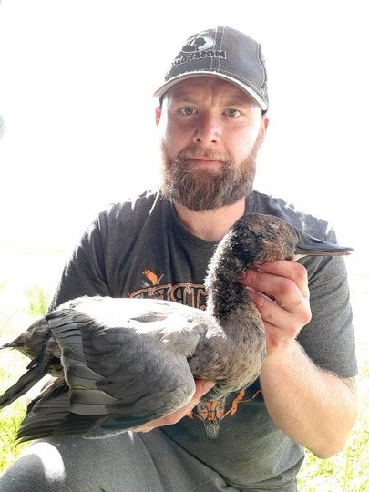 Canvasback Duck