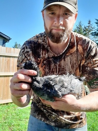 Coot