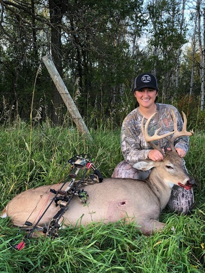 White-tailed Deer