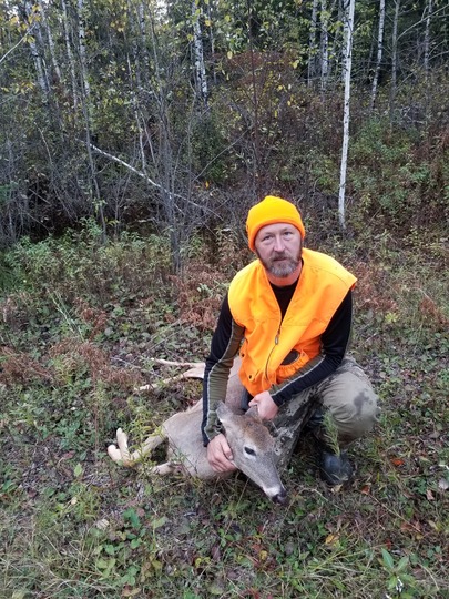 White-tailed Deer