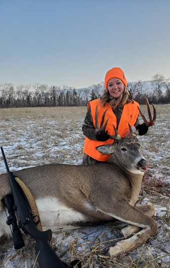 White-tailed Deer
