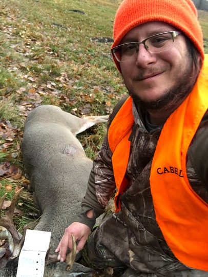 White-tailed Deer
