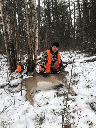White-tailed Deer
