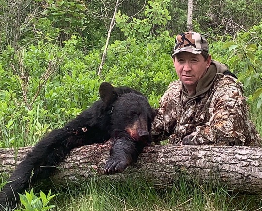 Boar Black Bear