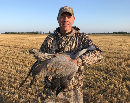 Sandhill Crane