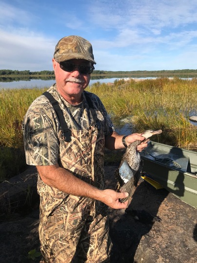 Blue Winged Teal Duck
