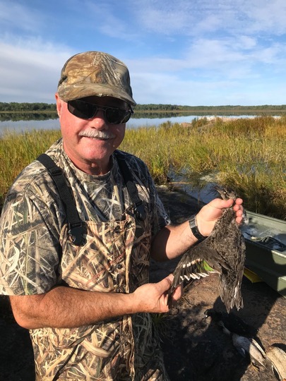 Green Winged Teal Duck