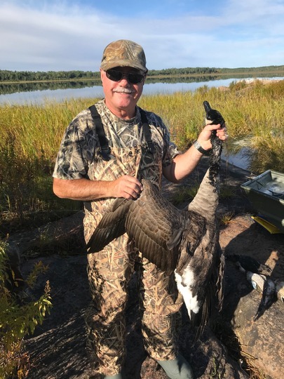 Greater Canada Goose