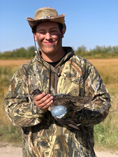 Blue Winged Teal Duck