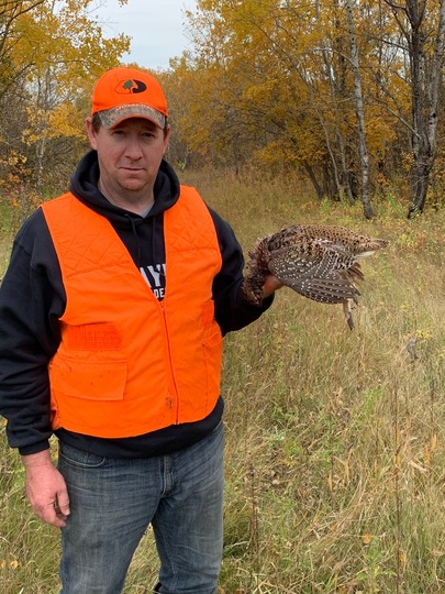Sharptail Grouse