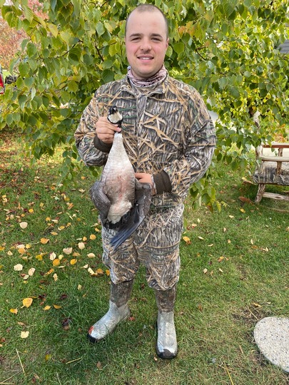 Lesser Canada Goose