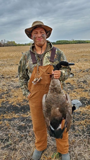 Greater Canada Goose