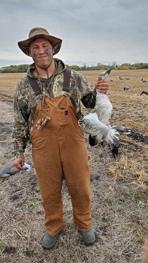 Ross's Goose