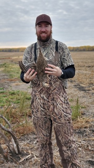 Sharptail Grouse