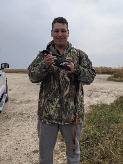 Bufflehead Duck