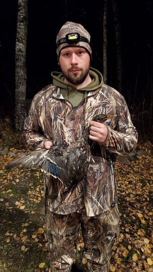 Mallard Duck