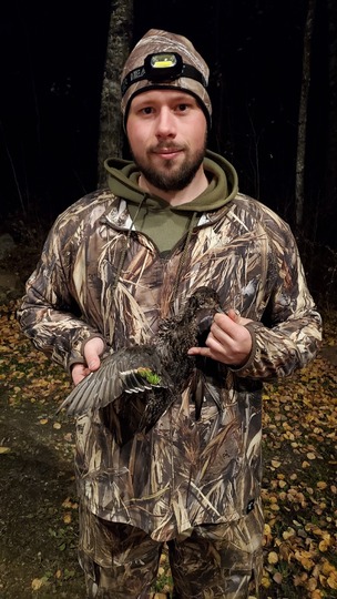 Green Winged Teal Duck