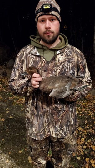 Redhead Duck