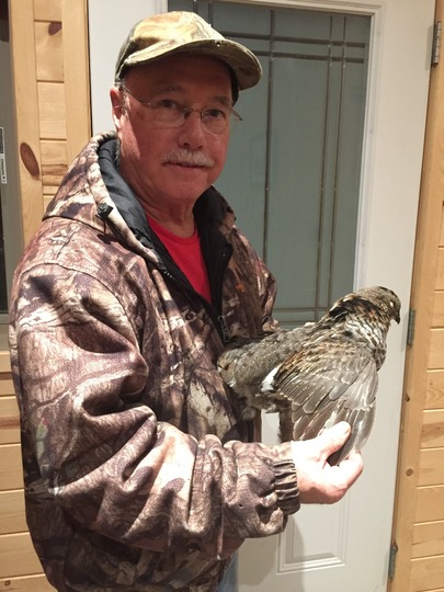 Ruffed Grouse