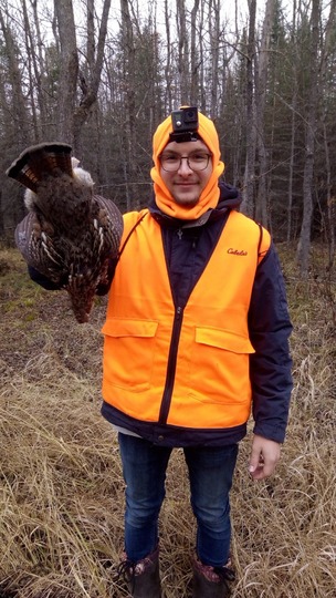 Ruffed Grouse