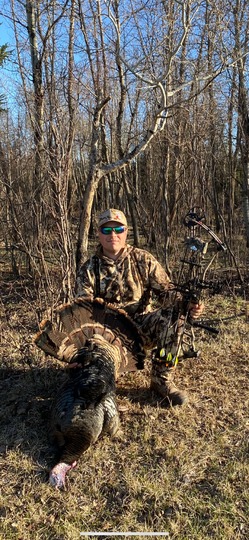 Wild Turkey