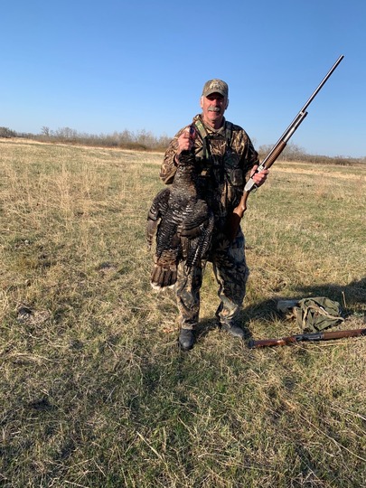 Wild Turkey