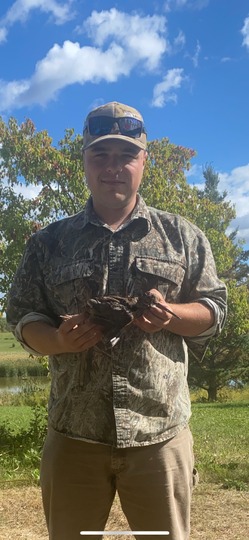 Woodcock