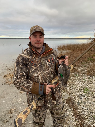 Green Winged Teal Duck