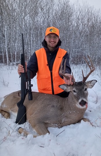 White-tailed Deer