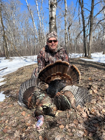 Wild Turkey