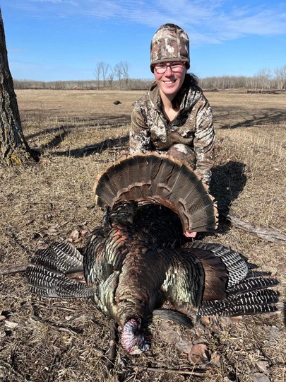 Wild Turkey