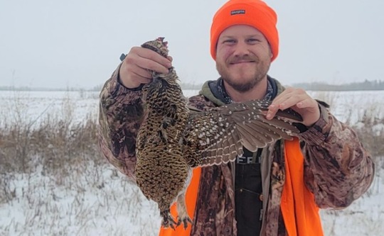 Sharptail Grouse