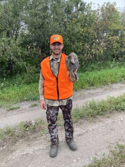 Sharptail Grouse
