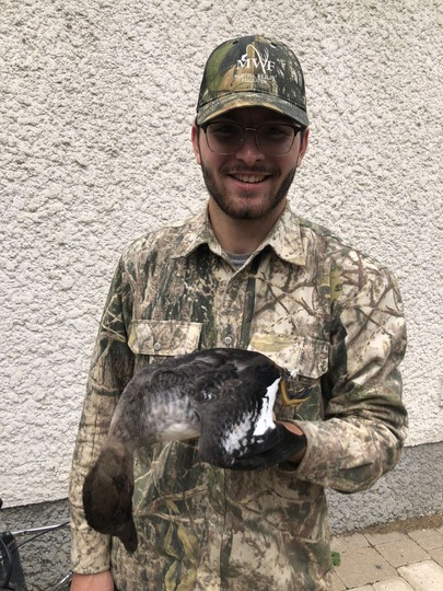 Goldeneye Duck