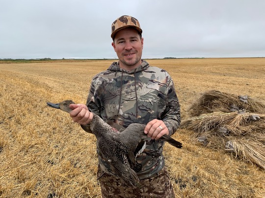 Pintail Duck