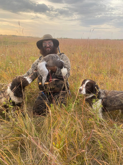 Blue Goose