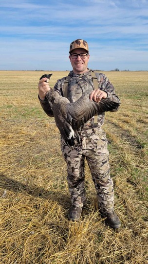 Lesser Canada Goose