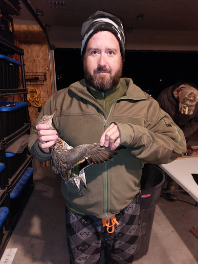 Green Winged Teal Duck