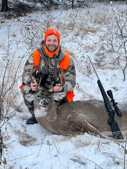 White-tailed Deer
