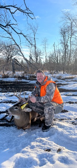 White-tailed Deer