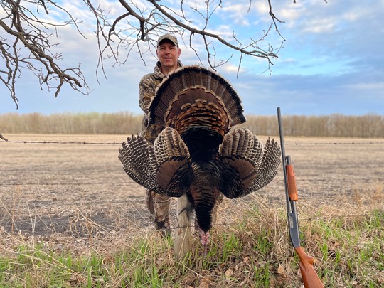 Wild Turkey
