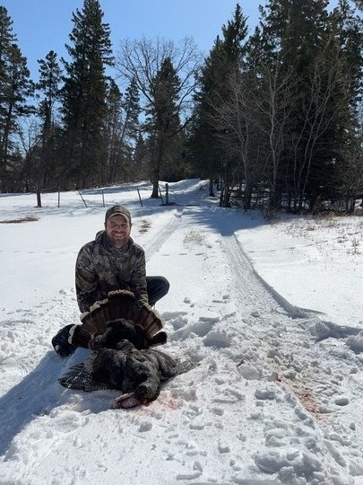 Wild Turkey